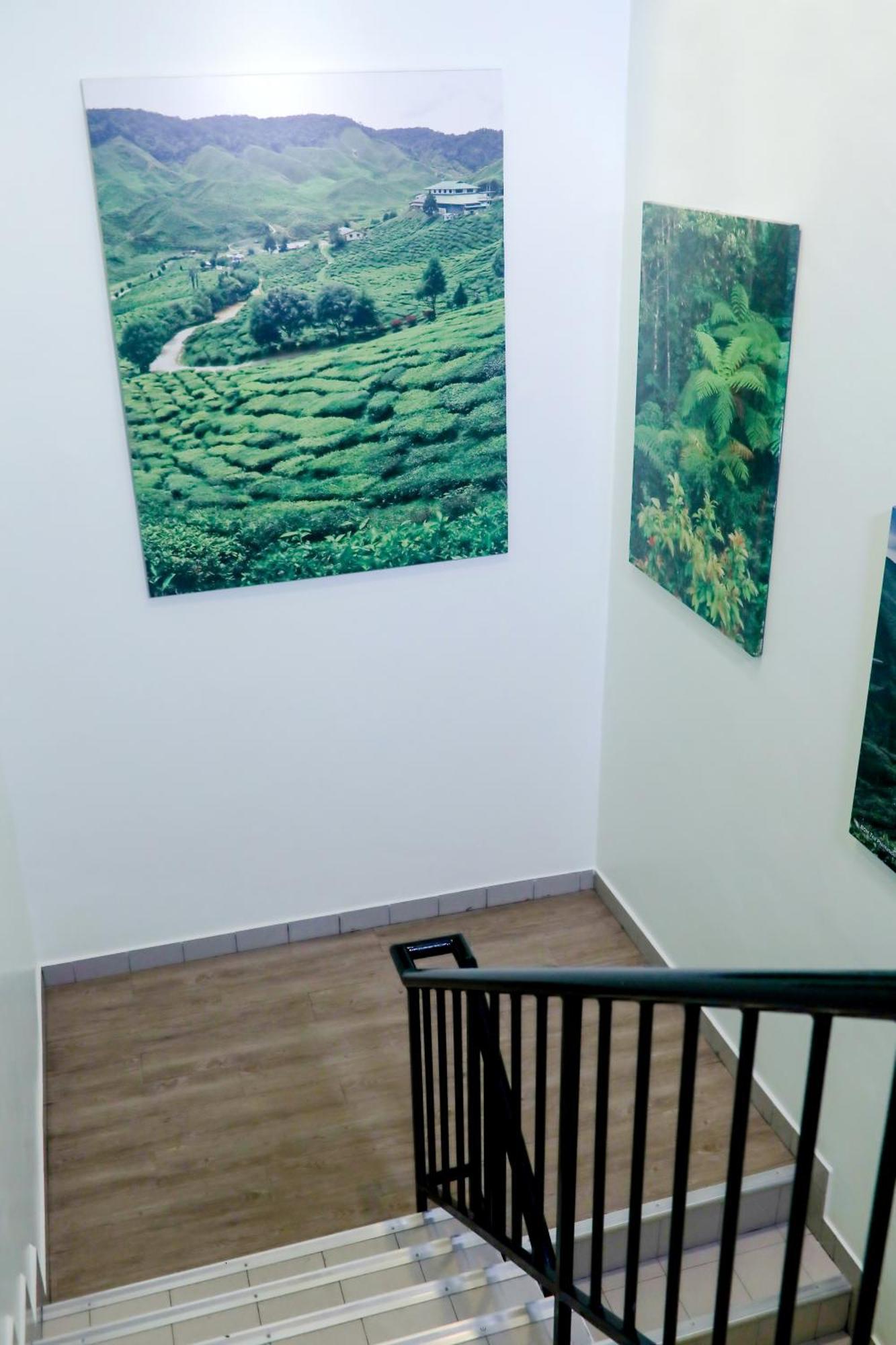 โรงแรมไฮแลนเดอร์ คาเมรอนไฮแลนด์ ภายนอก รูปภาพ