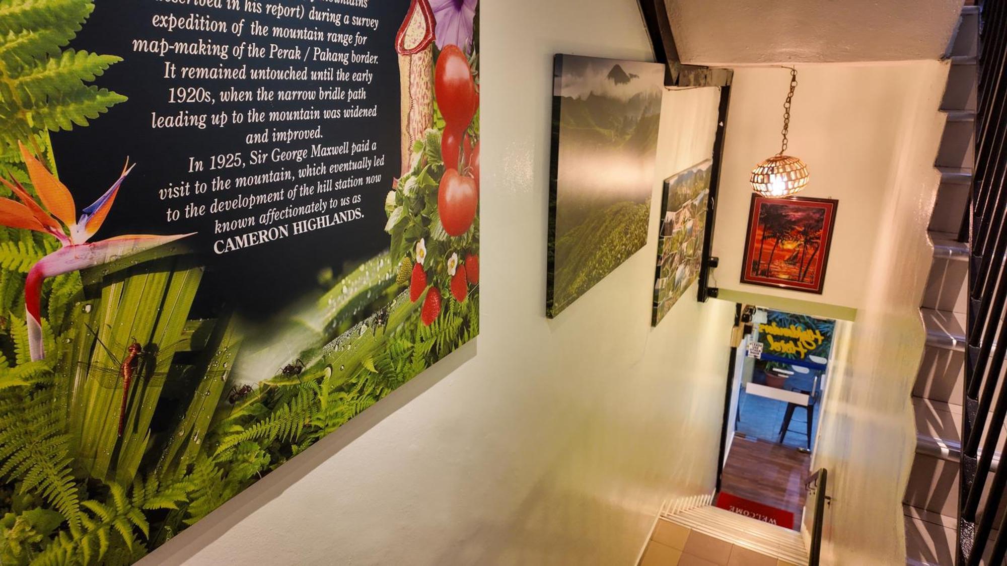 โรงแรมไฮแลนเดอร์ คาเมรอนไฮแลนด์ ภายนอก รูปภาพ